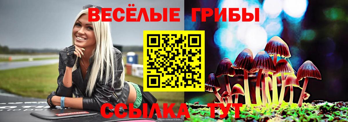 Каменск-Шахтинский  Псилоцибиновые грибы Magic Shrooms  Вход с VPN 
