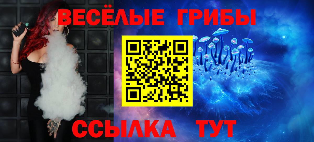 купить   Псилоцибиновые грибы Psilocybine cubensis  Каменск-Шахтинский  Псилоцибиновые грибы Cubensis 